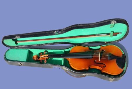 The Hidden Magic of Stradivarius Violins: How an Italian Forest Crafted Timeless Musical Masterpieces The Hidden Magic of Stradivarius Violins: How an Italian Forest Crafted Timeless Musical Masterpieces