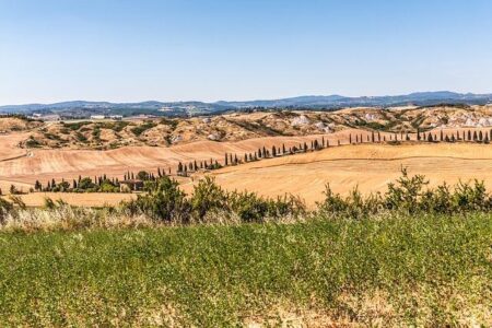Senesi Secures Argentina Spot as Countdown to 2026 World Cup Begins