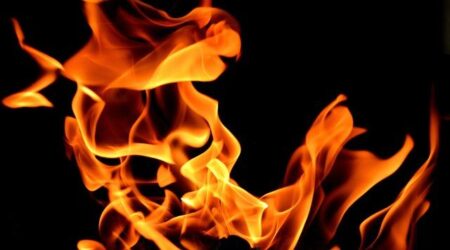 Blazing Heat Waves Threaten the Survival of Chickens Blazing Heat Waves Threaten the Survival of Chickens