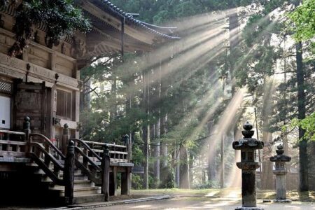 Japan Calls on GPIF to Boost Domestic Investments for Stronger Growth Japan Calls on GPIF to Boost Domestic Investments for Stronger Growth