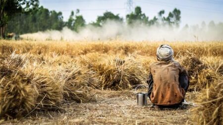 They Don’t Need People”: The Workers Being Left Behind by China’s Robot Revolution They Don’t Need People”: The Workers Being Left Behind by China’s Robot Revolution