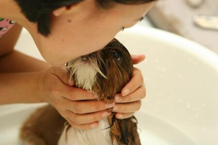 Japan’s Pet Care Boom: Beloved ‘Fur Babies’ Now Outnumber Newborns