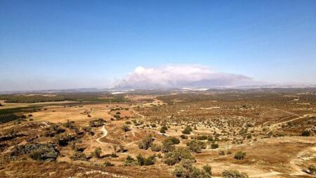 Devastating Wildfires Engulf France and Spain, Forcing 300,000 to Flee Devastating Wildfires Engulf France and Spain, Forcing 300,000 to Flee