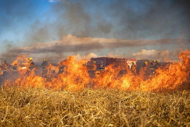 France and Spain Launch Ambitious Economic Relief Efforts After Devastating Wildfires